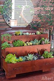 Before After A Dresser Turned Succulent Garden Plants Tiered Garden Succulents Garden