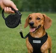 Retractable Dog Leashes | Durable, Stylish & Adjustable Pet ...