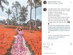 Arti mimpi ke taman bunga. Mulai Bermekaran Ini 5 Potret Jelita Taman Bunga Amarilis Di Gunung Kidul