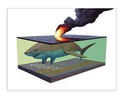 Hi Fructose Volume 43 Preview Painting Art Art Prints