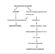 flow chart showing the consequences of dialysis associated