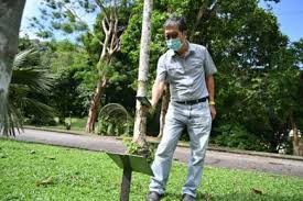 Address, phone number, taman rekreasi gunung lang reviews: Penang Botanic Gardens Buletin Mutiara