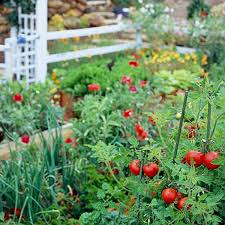 Planning your garden doesn't have to be stressful, and doing it properly will actually help you it's a super awesome gardening scheduling program that makes garden planning super easy. How To Plan A Vegetable Garden