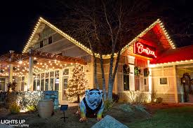 We did not find results for: Lights Up Seasonal Lighting For Hassle Free Holiday Lighting