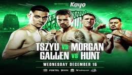 Mark hunt vs derrick lewis fight highlights. Gallen Vs Hunt Twitch