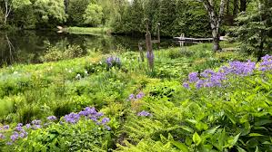 Diy backyard pond ideas can bring life, sound, and beauty to your garden. Supernaturalistic The New Perennial Pond Garden The New Perennialist
