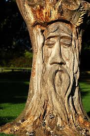99 851 Tree Sculpture Photos Free Royalty Free Stock Photos From Dreamstime