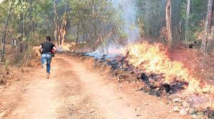 We did not find results for: Mexico Es Segundo Lugar Mundial En Alertas Por Incendios Forestales El Informador