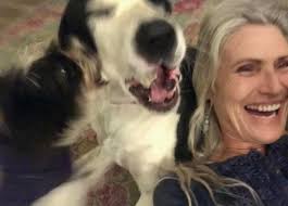 Wanted to try this first before taking him to humane society. Have to  surrender my dog due to moving situations. If anybody knows somebody who  has a farm our outside areas that