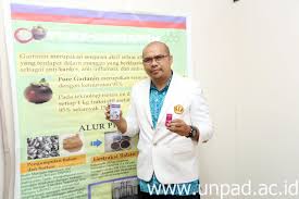 Untuk membuktikan hal itu, penelitian yang dilakukan adalah dengan memakai mangostin dari ekstrak etanol 40% yang memiliki aktifitas penghambatan terhadap pelepasan nistamin dan sintesis prostagladin e2. Muchtaridi Phd Apt Hasilkan Bahan Baku Obat Herbal Dari Buah Manggis Universitas Padjadjaran