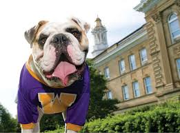 The retired western bulldogs mascot on facebook. 18 Reasons Why Bulldogs Are Undeniably The Best College Mascots Barkpost