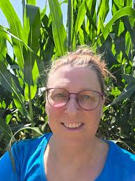 Not corn...but as high as an elephant's eye...