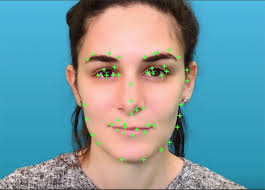 Artist Talk Reflecting the Gaze: Jillian Mayer and Abigail Reyes