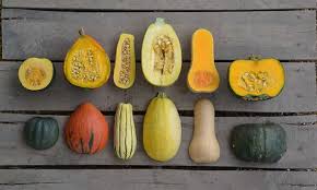 Put the support in place when you first plant the squash and let them do their thing. Growing Winter Squash Fall S Favorite Food Epic Gardening