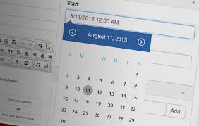 Adding A Datetime Picker To Your Forms Solodev