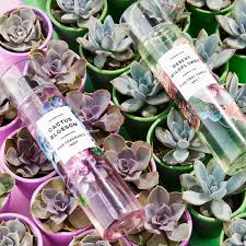 Bath & body works just revealed that the brand's summer scent, cactus blossom, is rolling out in new body products. Bath Body Works On Twitter Meet Our New Desert Blooms Leave An Emoji For The Fragrance You Re Most Excited To Try For Cactus Blossom Or For Desert Wildflower