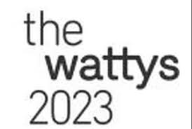 Image result for Holothrix longiflora