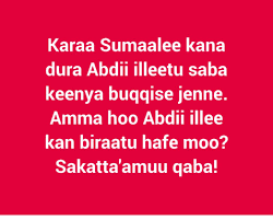 .likefi share godhatti na jajjabeessa kan biraa akkan siin biraan gahuttii #keekiyyaa_badhaadha_barraq #barraaq #barraaq_tik_tok_challenge #oromomusic. Lalisa Guta Lalisagut Twitter