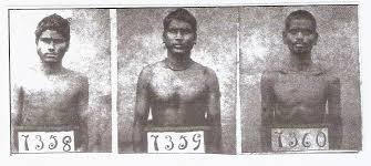 A Brief History of Indian Indenture in South Africa | The Heritage Portal
