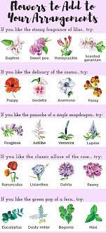 20 Flowers You Ll Love Based On Your Favorites Flower Shop Design Amazing Flowers Flower Arrangements