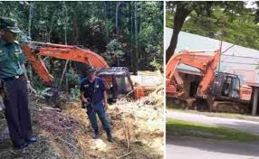 Misalnya di provinsi sulawesi selatan terdapat 3 ekor elang paria (milvus migrans) juga dilepasliarkan oleh balai besar konservasi sumber daya alam (bbksda) sulawesi selatan di kawasan suaka margasatwa (sm) ko'mara, kabupaten gowa. Baru Sebulan Lebih Pergantian Kadis 1 Ekscavator Terbang Dari Markas Polhut Riau
