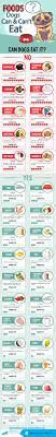 We did not find results for: What Can T Dogs Eat Human Foods List Infographic Rth