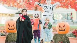 Boo Bash