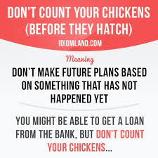 Don T Count Your Chickens Before They Hatch Idioms And Phrases English Phrases Learn English