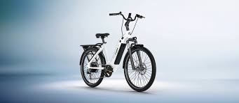 Review10best compares the best electric bikes in canada and selects the one by gotrax as the best electric bike. Rize Bikes Canada Versatile And Affordable Electric Bike