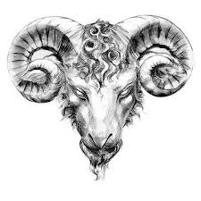 Black And Gray Drawing Of The Ram Style Black And Gray Color Gray Tags Nice Beautiful Taurus Tattoos Bull Tattoos Sheep Tattoo