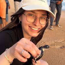 A4 Tours Értékelések 2024