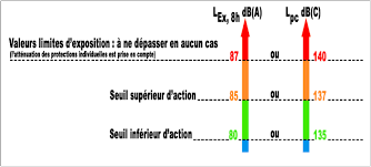 A decaffeinated dark split roast gives both intense character and subtle fruity notes. Bruit Au Travail Particuliers