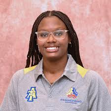 College of Engineering Ambassadors