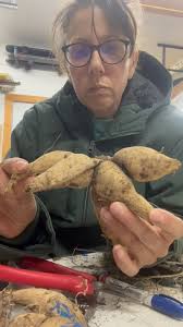 Profil pour Three Sisters Flower Farm