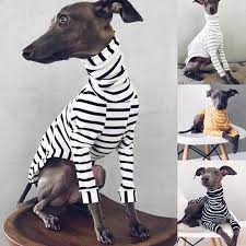Find italian greyhounds for sale on oodle classifieds. Italian Greyhound Whippet Clothes Jumper Tops Cotton Striped Long Sleeved Tops For Dogs Buy From 9 On Joom E Commerce Platform