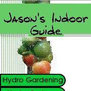 Curious About Your Next Nft Build Hydroponics System Hydroponic Farming Homemade Hydroponics