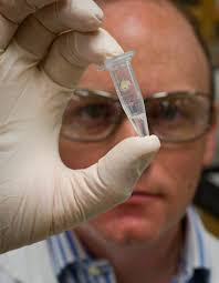 Frontline Magazine Vol 6 Issue 2