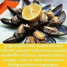 Midye yemek hanefi mezhebine göre caiz değildir. Facebook