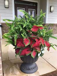 55 Wonderful Summer Container Garden Flower Ideas Garden Gardenflowers Gardenflowersideas Container Flowers Container Gardening Flowers Container Plants