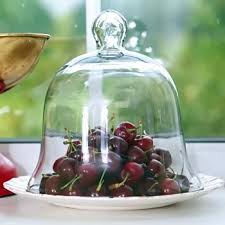 Cloche En Verre Jardin 25cm Lot De 2 Cloche En Verre Cloche Verre