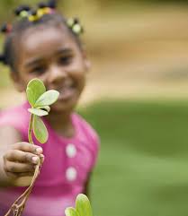 Driving Growth Through Performance & Innovation