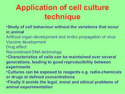 Animal cell culture is an sophisticate technique. Introduction To Cell Culture Techniques