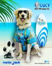 Get the best deals and coupons for lucy pet products. Lucy Pet Products With A Cause Keep Your Pet Looking Great Eighty Mph Mom Lifestyle Blog