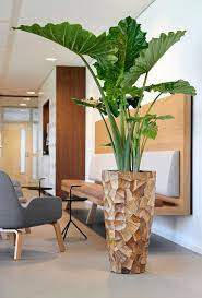 Piante da appartamento alte 12 stupende piante d'appartamento di grandi dimensioni. Arredare Con Le Piante 13 Idee Per Scegliere Lo Styling Giusto