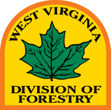 Big Tree Program Wv Division Of Forestry