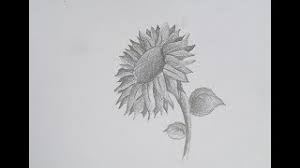 One of the trickiest parts to draw is the center of the sunflower. How To Draw A Realistic Sunflower With Easy Shading Youtube