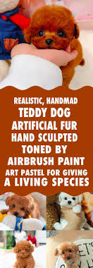 realistic teddy dog lucky neulons com teddy dog teddy air brush painting