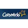 carambOla FIRMA from pitchbook.com