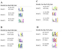 There are a lot of meme sites and pages on the internet. Motifs Identified By Meme Software For The 500 Peptide Lists For The Download Scientific Diagram