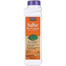 Worse yet, there can be multiple causes at work simultaneously. Sulfur Plant Fungicide By Bonide Planet Natural
